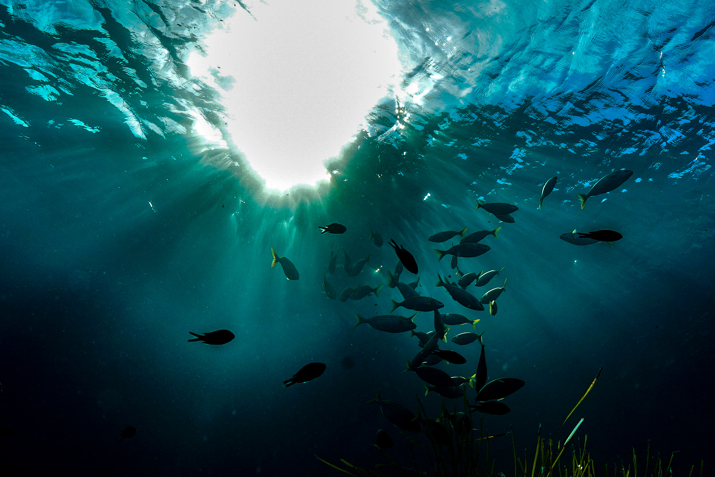 luce blu intensa